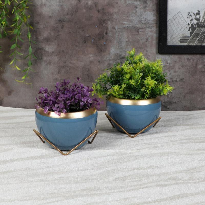 Buy Guja Apple Planter (Blue) - Set Of Two Pots & Planters from Vaaree