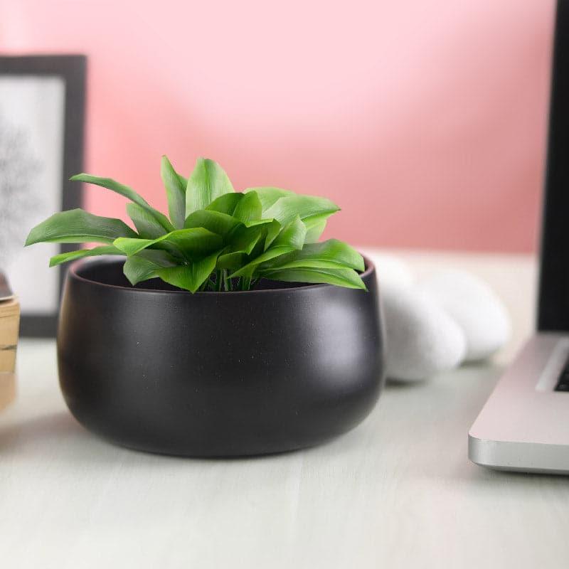 Buy Helena Hue Planter (Black) - Set Of Two Pots & Planters from Vaaree