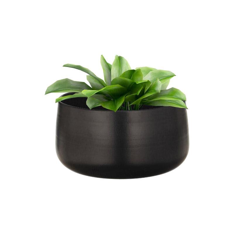 Buy Helena Hue Planter (Black) - Set Of Two Pots & Planters from Vaaree