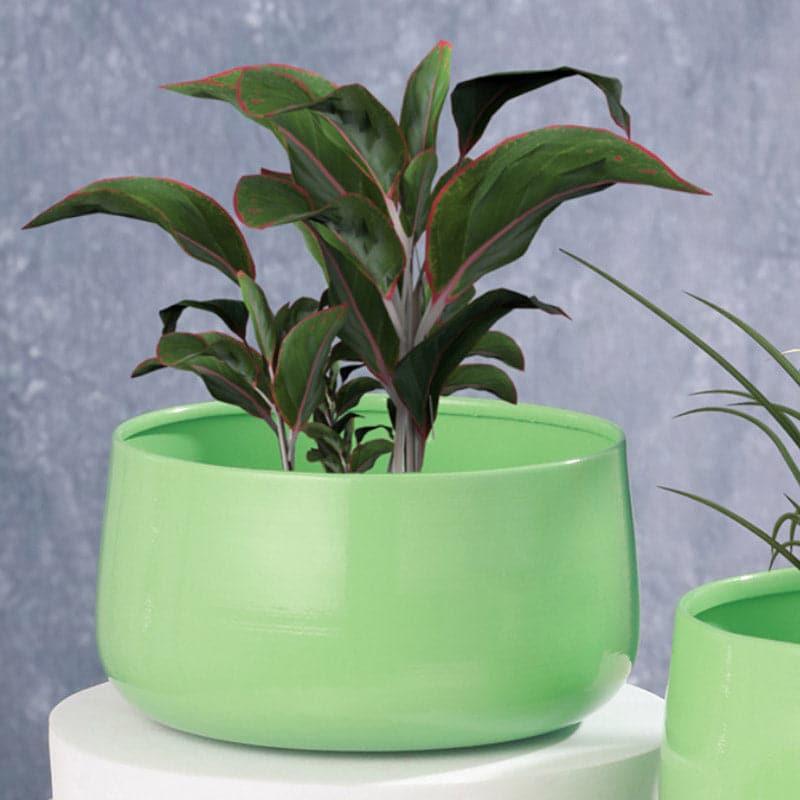 Buy Helena Hue Planter (Green) - Set Of Two Pots & Planters from Vaaree