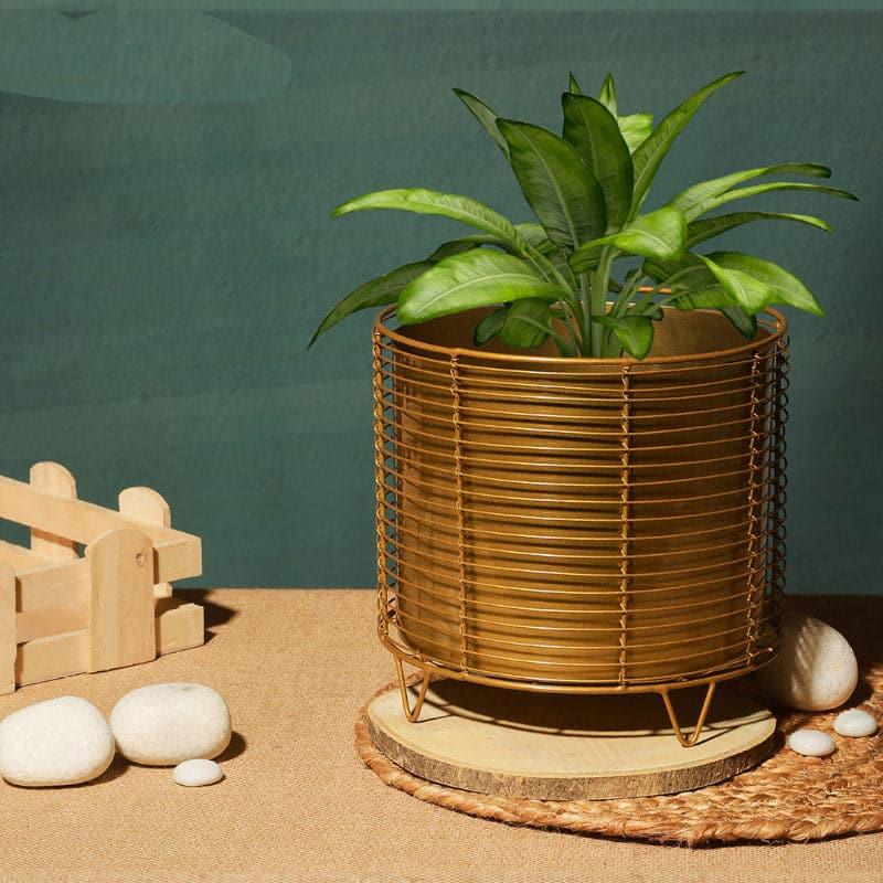 Buy Hilpo Mesh Planter - Gold Pots & Planters from Vaaree