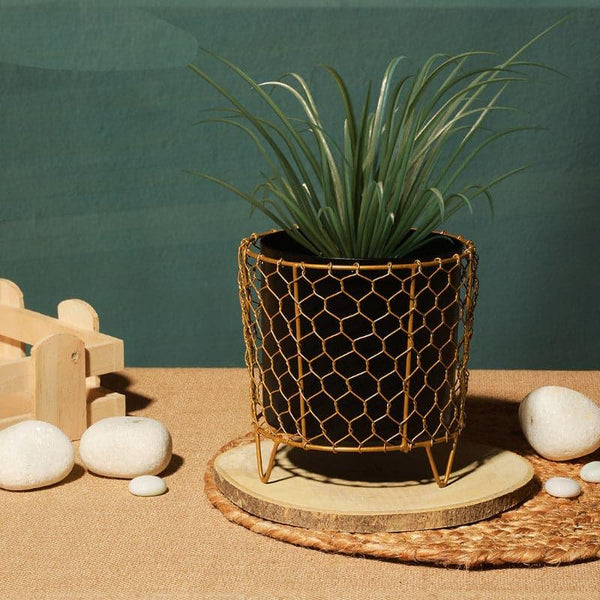 Buy Horo Mesh Planter Pots & Planters from Vaaree