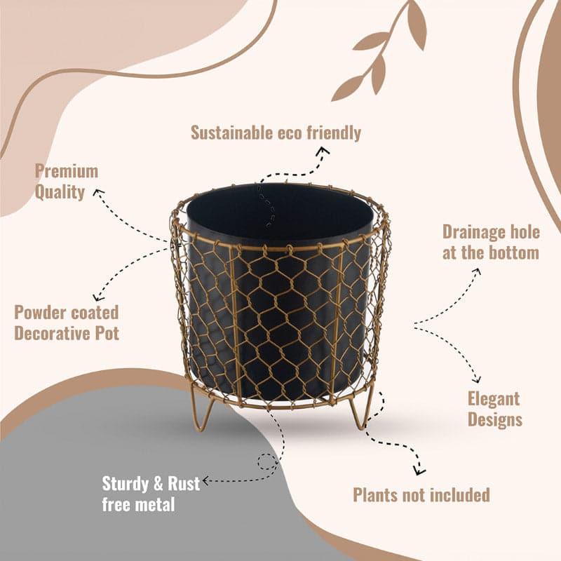 Buy Horo Mesh Planter Pots & Planters from Vaaree