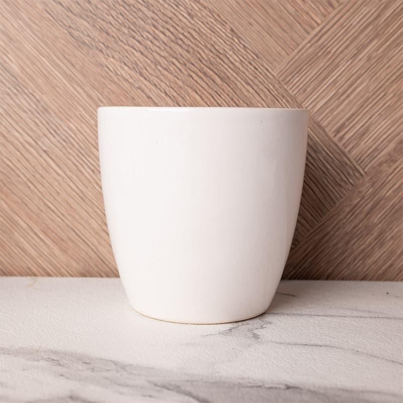 Buy Kajara Ceramic Pot Pots & Planters from Vaaree