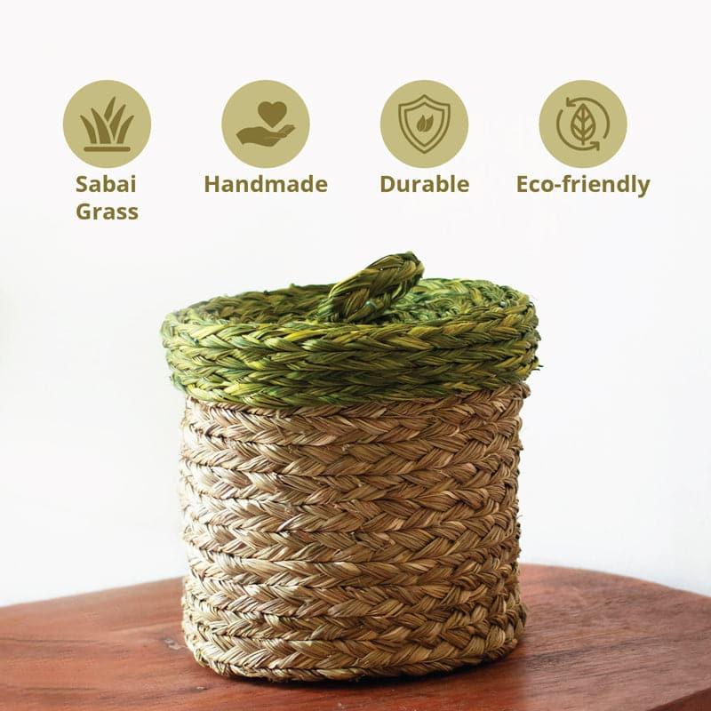 Buy Larova Natural Fiber Planter Pots & Planters from Vaaree