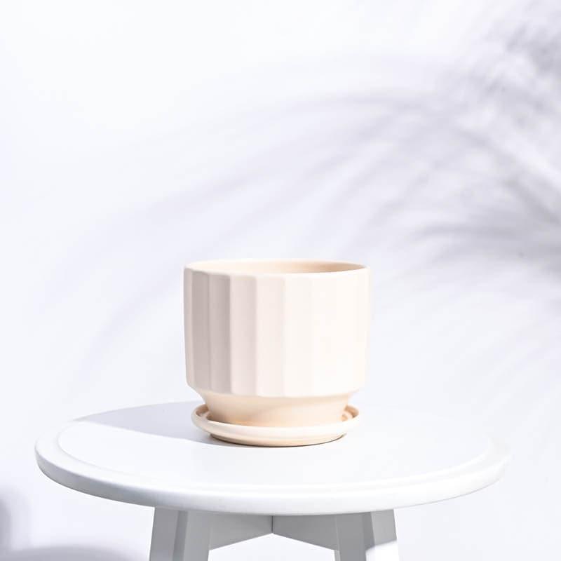 Buy Lexie Ceramic Planter - Ivory Pots & Planters from Vaaree