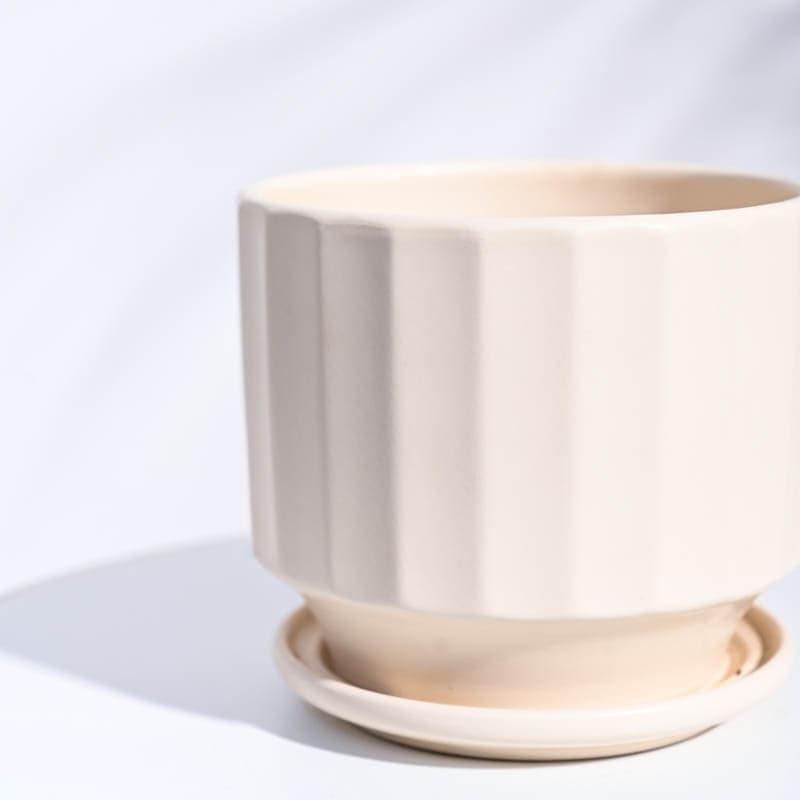 Buy Lexie Ceramic Planter - Ivory Pots & Planters from Vaaree