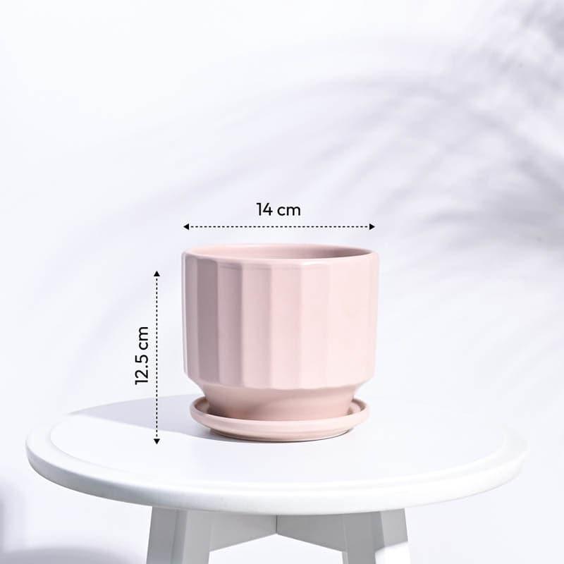 Buy Lexie Ceramic Planter - Pink Pots & Planters from Vaaree