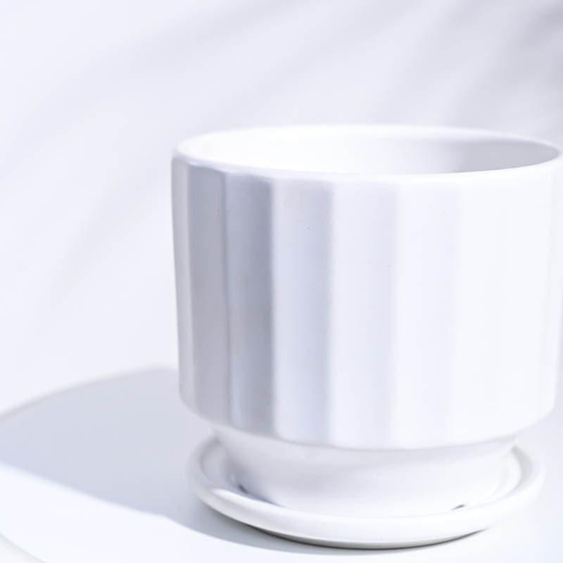 Buy Lexie Ceramic Planter - White Pots & Planters from Vaaree