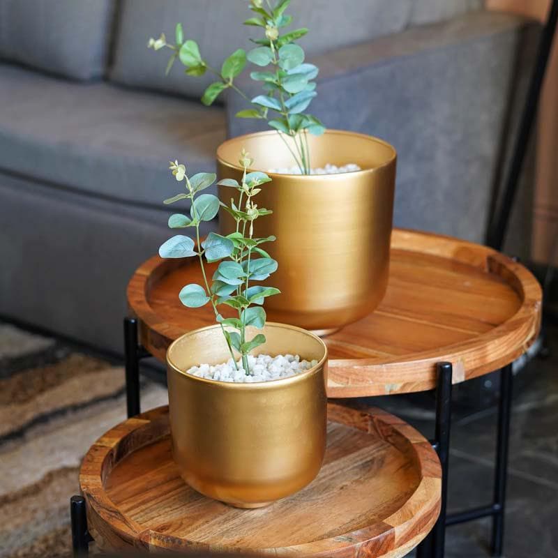 Buy Luc Table Planter - Set Of Two Pots & Planters from Vaaree