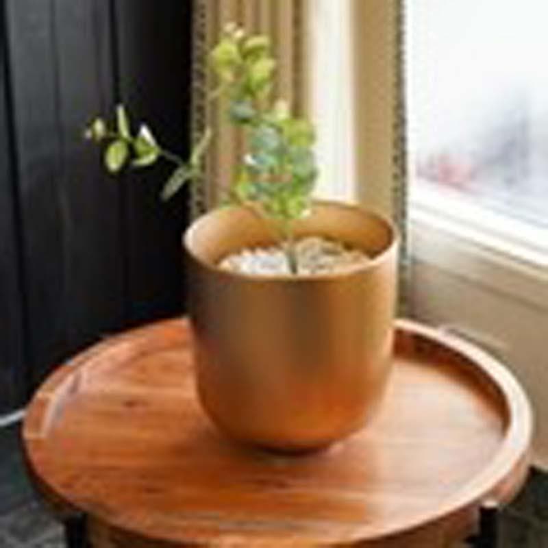 Buy Luc Table Planter - Set Of Two Pots & Planters from Vaaree