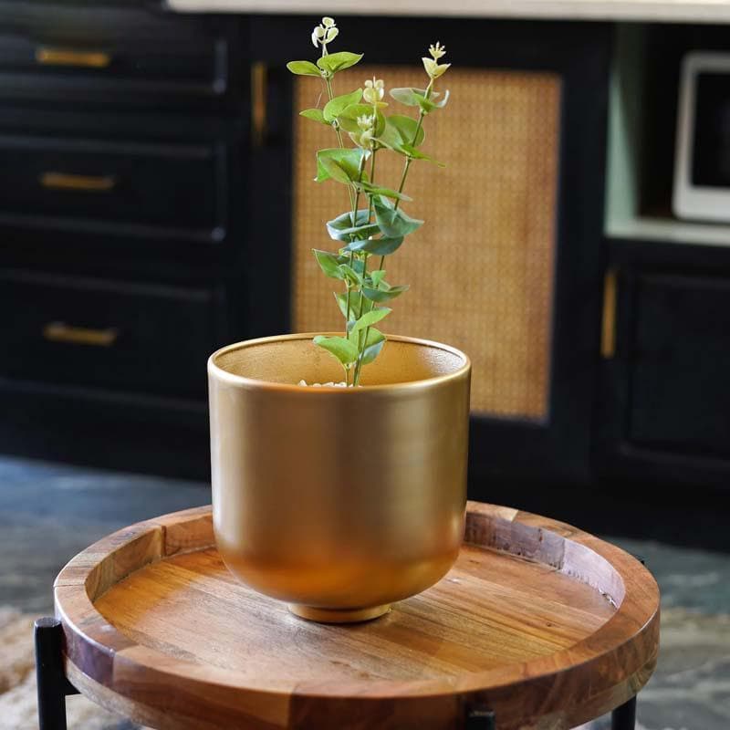 Buy Luc Table Planter - Set Of Two Pots & Planters from Vaaree