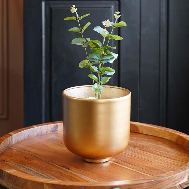 Buy Luc Table Planter - Set Of Two Pots & Planters from Vaaree