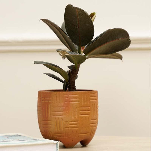 Buy Ludwig Planter - Caramel Pots & Planters from Vaaree