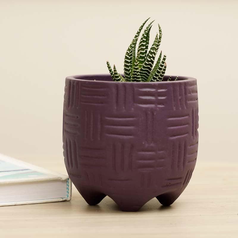 Buy Ludwig Planter - Purple Pots & Planters from Vaaree