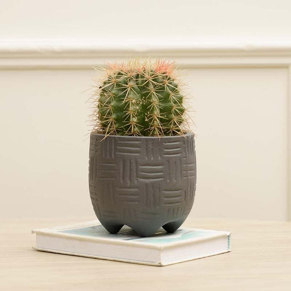 Buy Ludwig Planter - Slate Pots & Planters from Vaaree