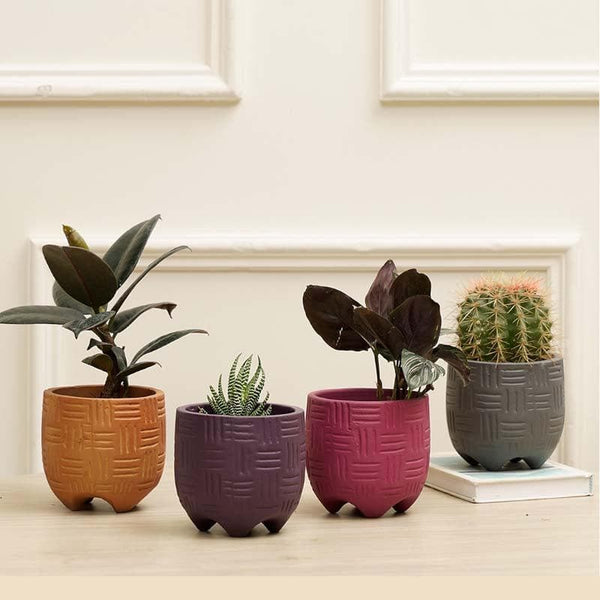 Buy Ludwig Planters - Set Of Four Pots & Planters from Vaaree