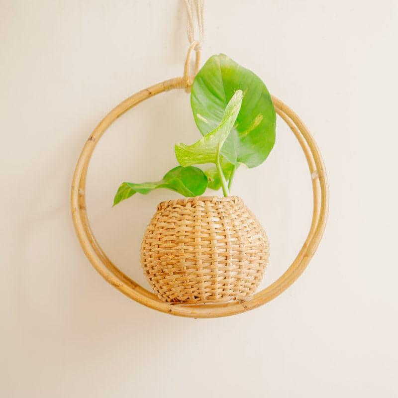 Buy Marlowe Hanging Planter Pots & Planters from Vaaree