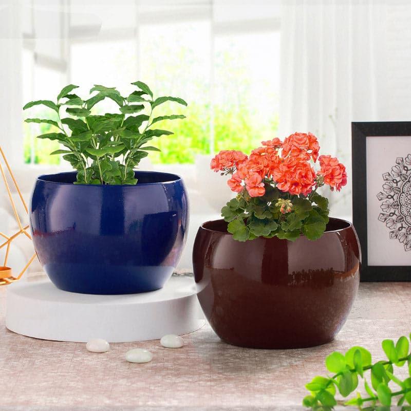 Buy Marsha Miro Planter (Blue & Brown) - Set Of Two Pots & Planters from Vaaree