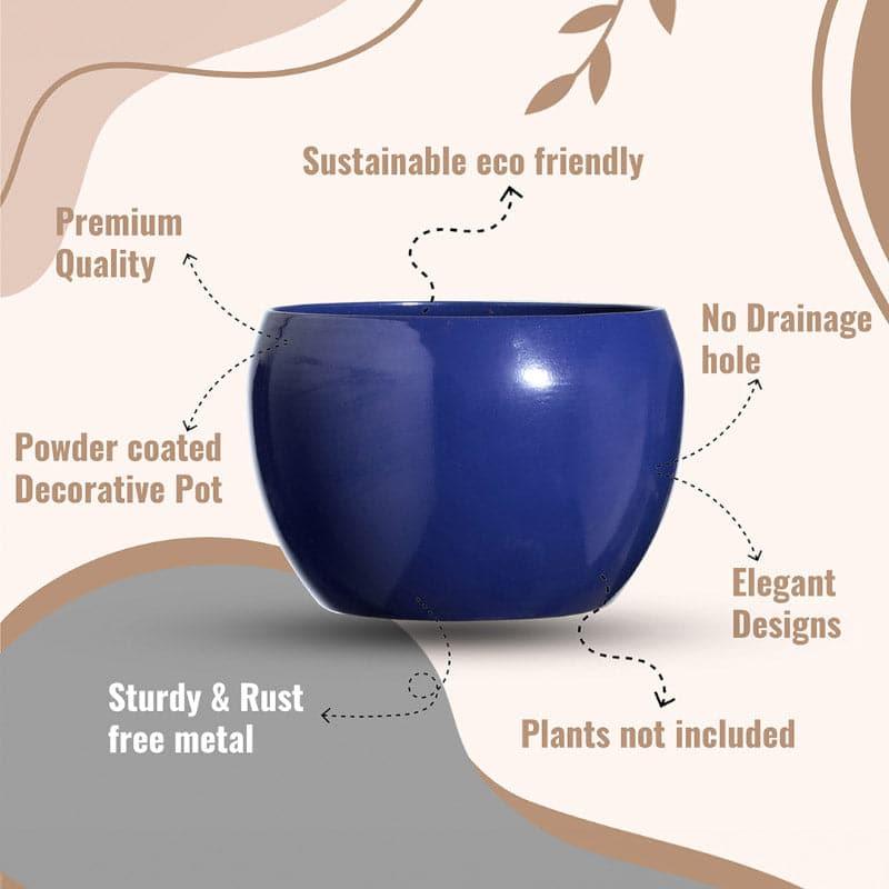 Buy Marsha Miro Planter (Blue & Brown) - Set Of Two Pots & Planters from Vaaree