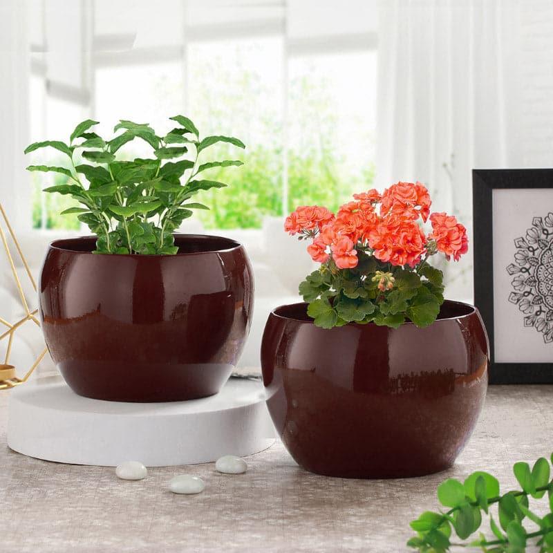 Buy Marsha Miro Planter (Brown) - Set Of Two Pots & Planters from Vaaree