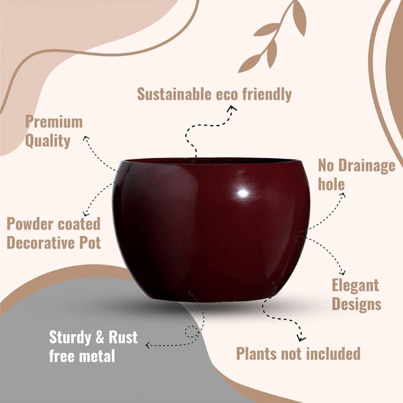 Buy Marsha Miro Planter (Brown) - Set Of Two Pots & Planters from Vaaree