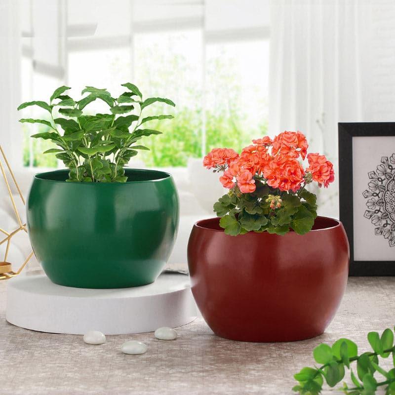 Buy Marsha Miro Planter (Green & Red) - Set Of Two Pots & Planters from Vaaree