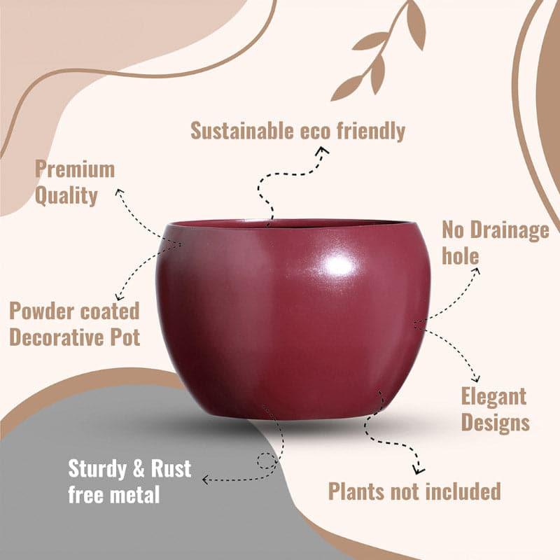 Buy Marsha Miro Planter (Red) - Set Of Two Pots & Planters from Vaaree