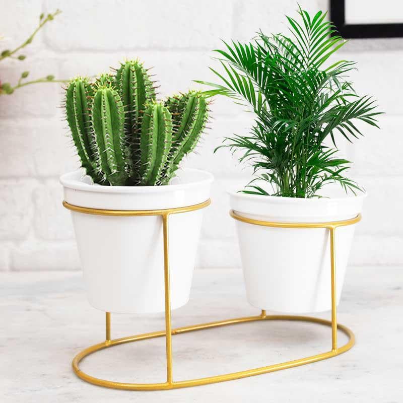 Buy Metallic Oasis Planter Pots & Planters from Vaaree