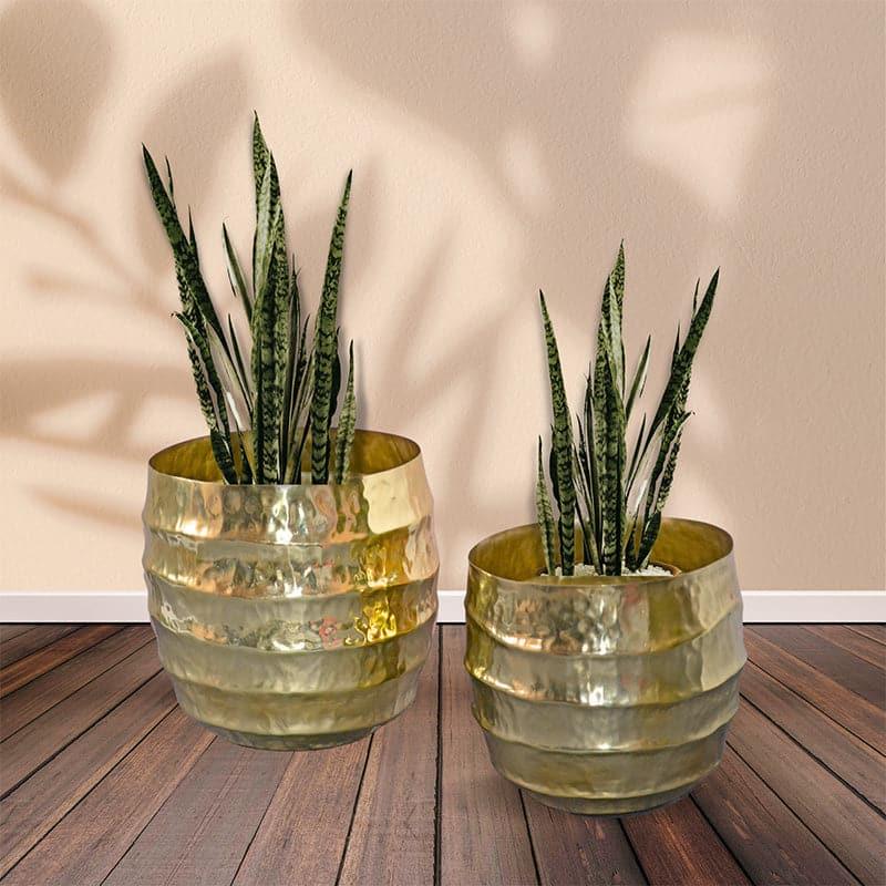 Buy Moha Iron Planter - Gold Pots & Planters from Vaaree