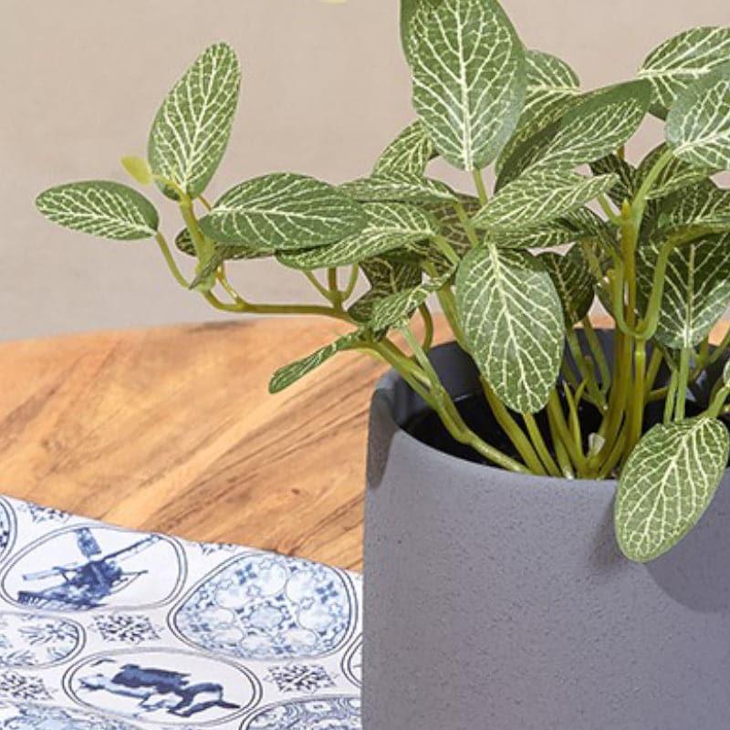 Buy Pots & Planters - Mrida Textured Planter With Tray - Grey at Vaaree online