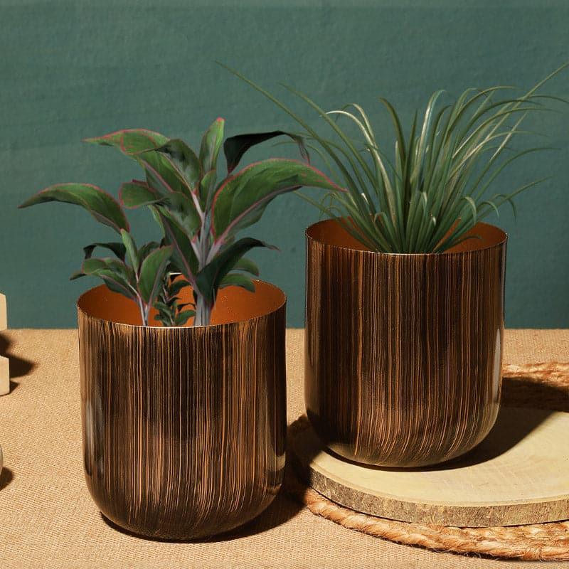 Buy Nebula Novo Planter - Set Of Two Pots & Planters from Vaaree