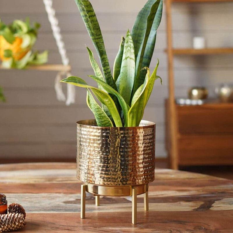 Buy Nicolette Metal Planter - Set Of Two Pots & Planters from Vaaree