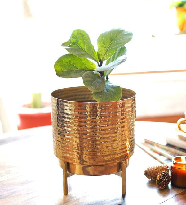 Buy Nicolette Metal Planter - Medium Pots & Planters from Vaaree