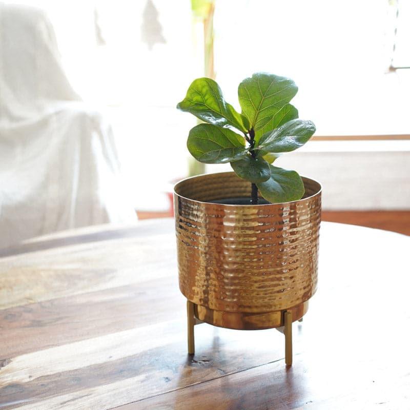 Buy Nicolette Metal Planter - Small Pots & Planters from Vaaree