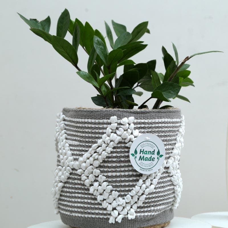 Buy Nomadic Nirvana Cotton Planter - Grey Pots & Planters from Vaaree