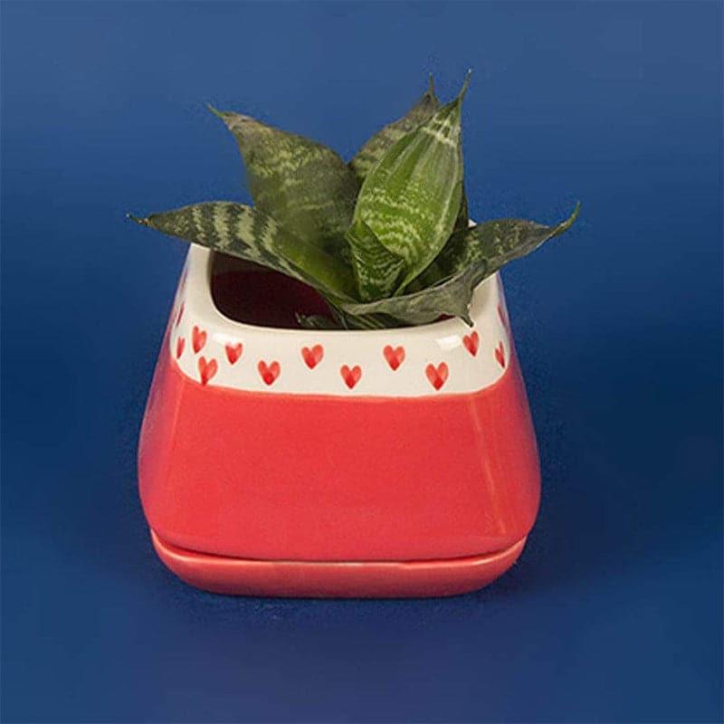 Buy Nova Hearts Ceramic Planter - Bright Red Pots & Planters from Vaaree