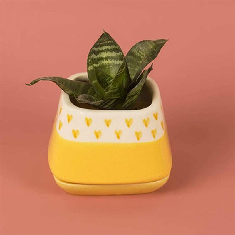 Buy Nova Hearts Ceramic Planter - Yellow Pots & Planters from Vaaree