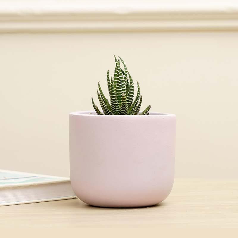 Buy Oh-So Cute Planter- Lilac Pots & Planters from Vaaree