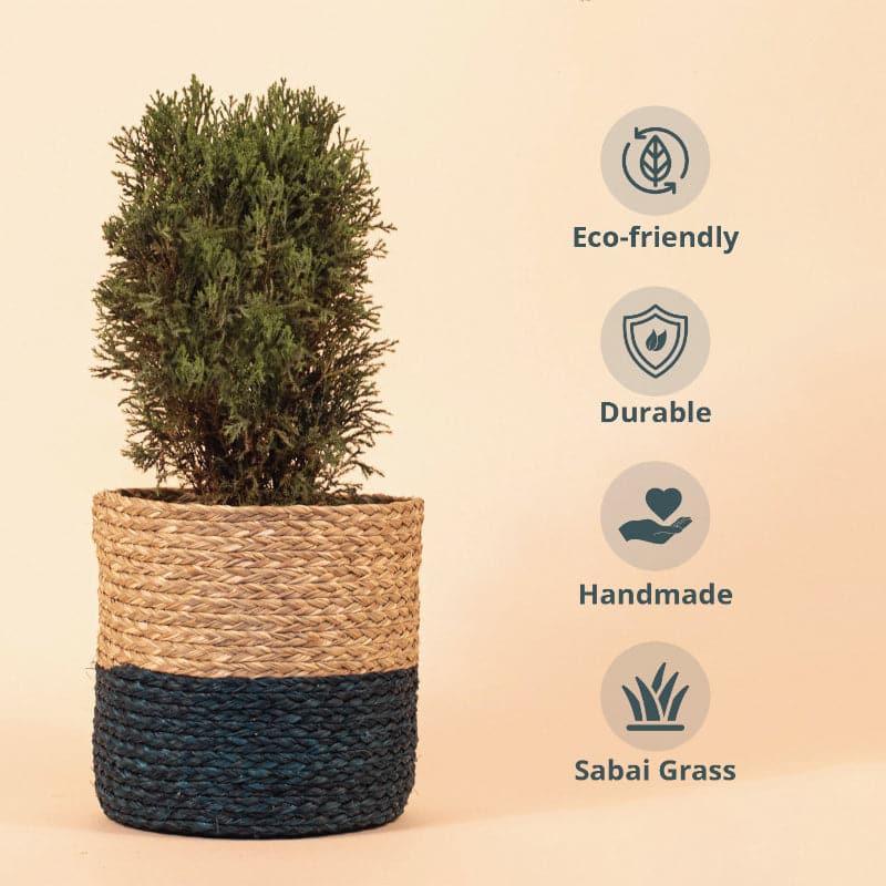 Buy Ola Natural Planter - Blue Pots & Planters from Vaaree