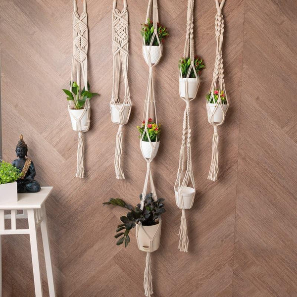 Buy Olwen Macrame Planter - Set Of Five Pots & Planters from Vaaree