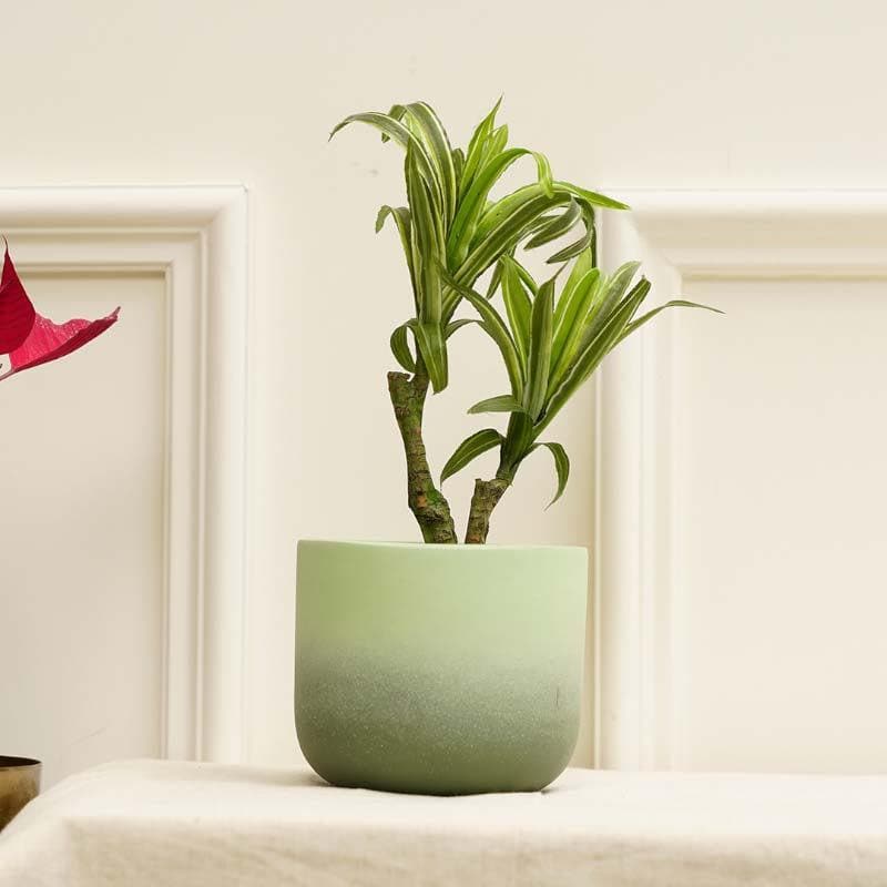 Buy Ombresque Planter - Green Pots & Planters from Vaaree