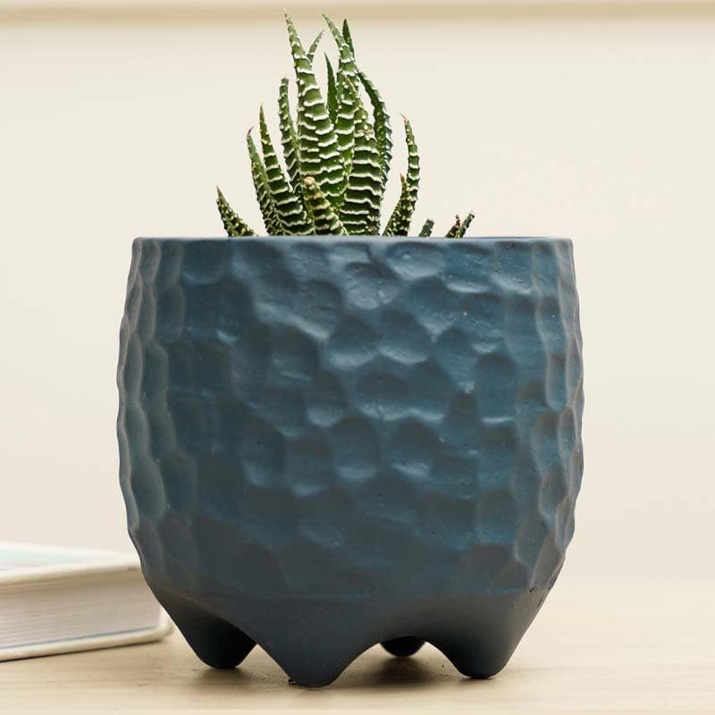 Buy Organic Etch Planter - Blue Pots & Planters from Vaaree