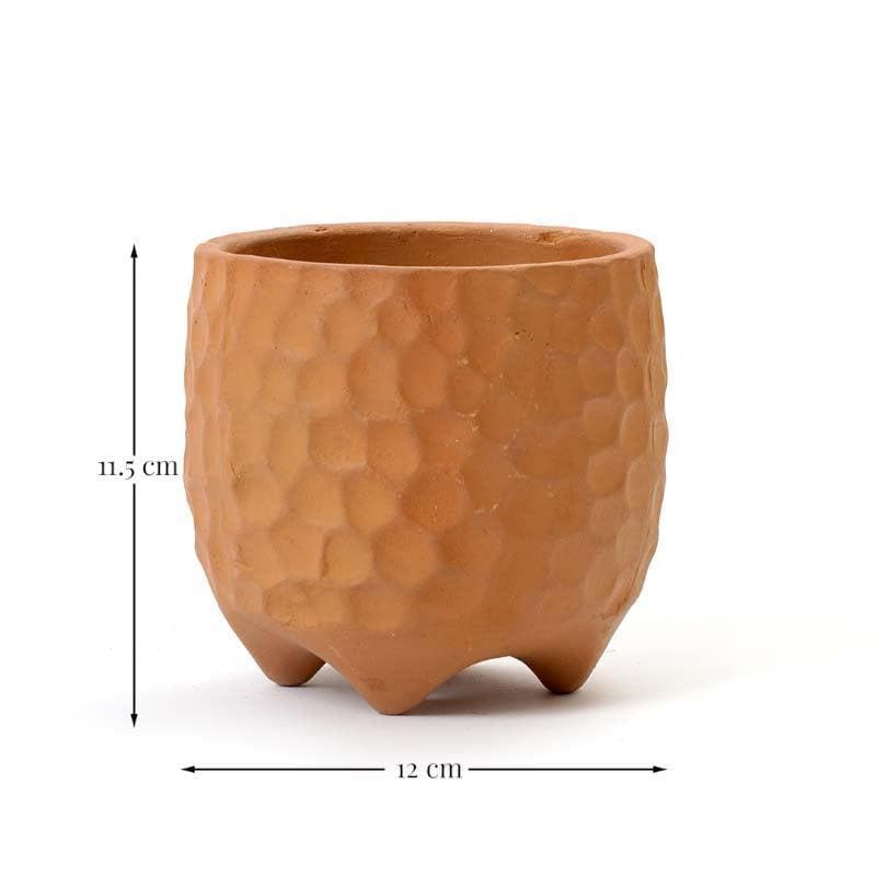 Buy Organic Etch Planter - Caramel Pots & Planters from Vaaree