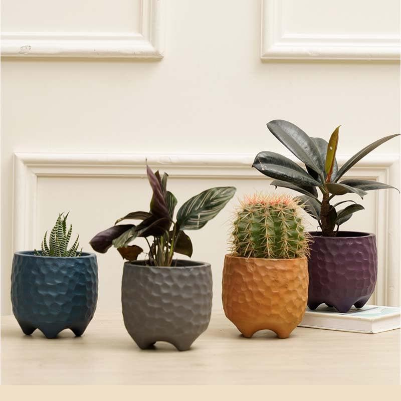 Buy Organic Etch Planters - Set Of Four Pots & Planters from Vaaree