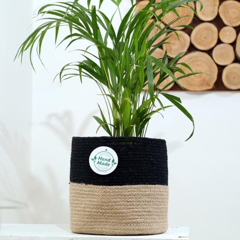 Buy Pots & Planters - Organic Oasis Jute Planter at Vaaree online