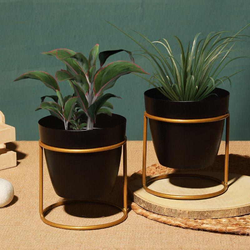 Buy Parona Metal Planter - Set Of Two Pots & Planters from Vaaree