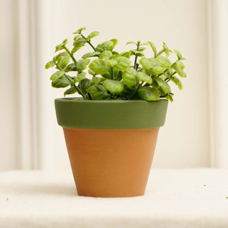 Buy Pastel Mimic Planter - Green Pots & Planters from Vaaree