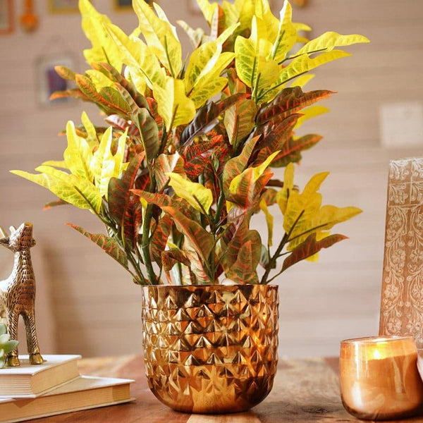 Buy Pineapple Poga Planter Pots & Planters from Vaaree