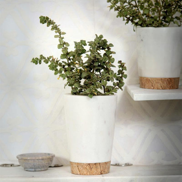 Pots & Planters - Plant Buddy Marble Planter - Small